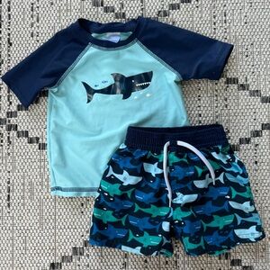 Toddler Boy Swim Trunk and Rash Guard 12 month